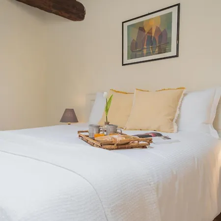 Plinio 10 By Rent *